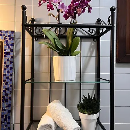 Apartman Palazzo Malipiero *