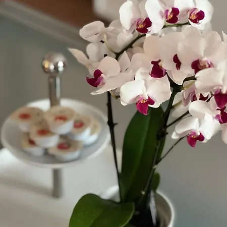 Apartman Palazzo Malipiero