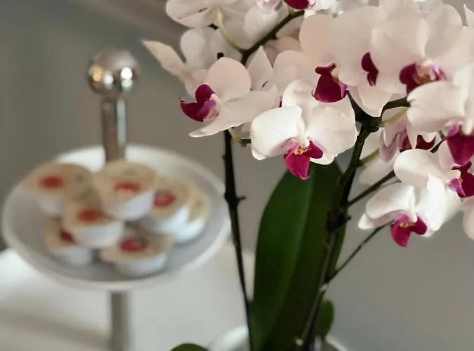 Apartamento Palazzo Malipiero